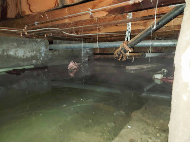 Best Flooded house restoration  in Fairport, NY