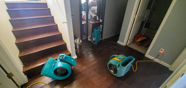 Best Water damage restoration near me  in Fairport, NY