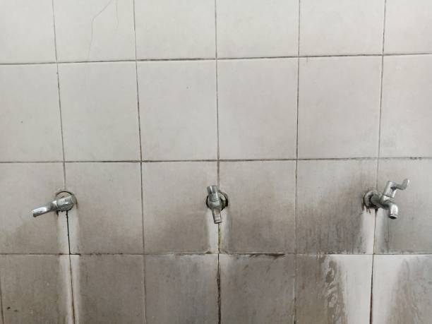 Best Carpet water damage restoration  in Fairport, NY