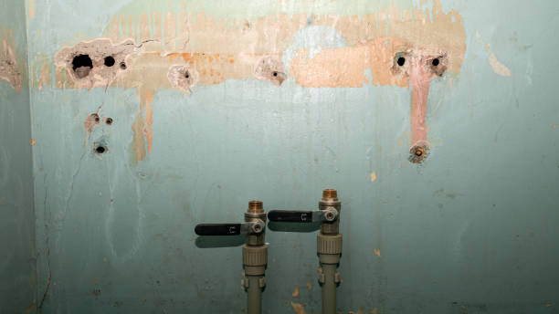 Best Water damage restoration near me  in Fairport, NY