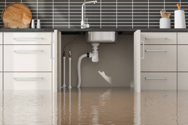 Best 24/7 water damage repair  in Fairport, NY