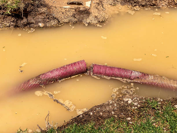 Best Residential water damage restoration  in Fairport, NY